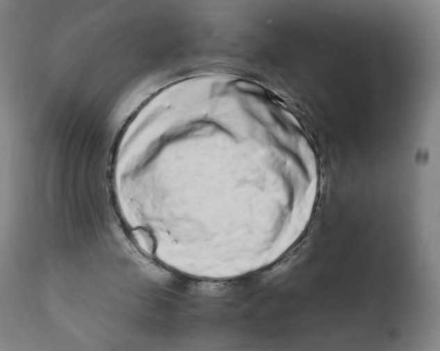 X0000111880341200908201302