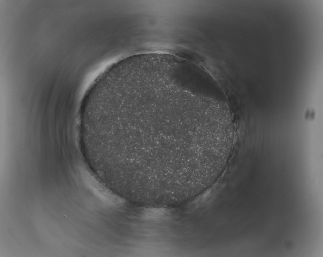 X0000111880342200908201302