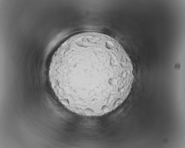 X0000111880343200908201302