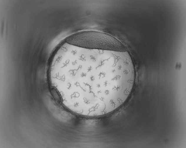 X0000111880344200908201302