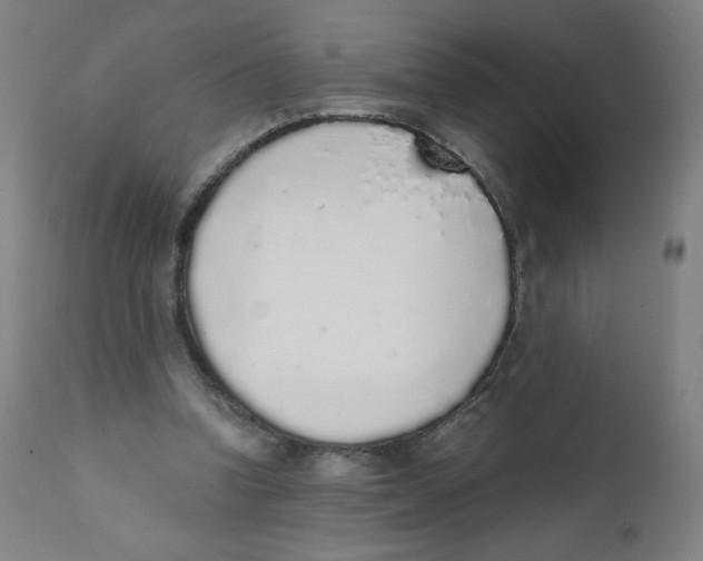 X0000111880346200908201302