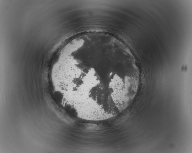 X0000111880347200908201302
