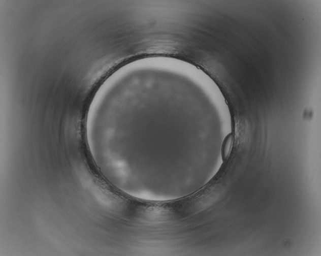 X0000111880348200908201302