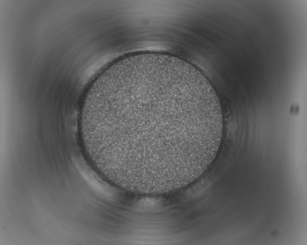 X0000111880350200908201302