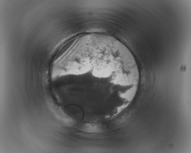 X0000111880351200908201302