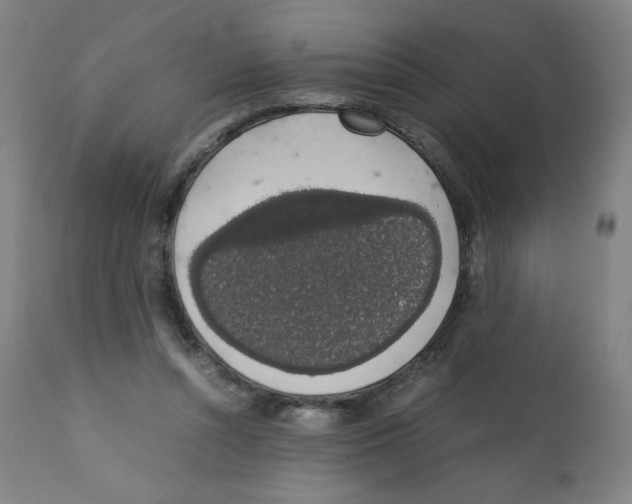 X0000111880352200908201302