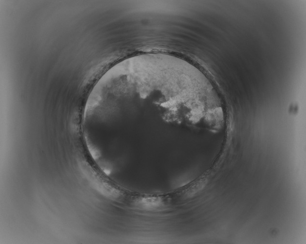 X0000111880353200908201302
