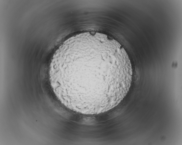 X0000111880355200908201302
