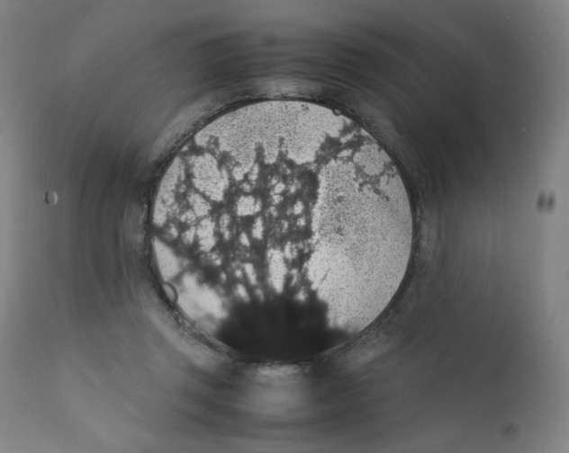 X0000111880357200908201303