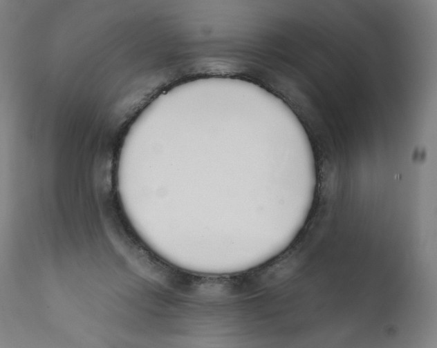 X0000111880358200908201303