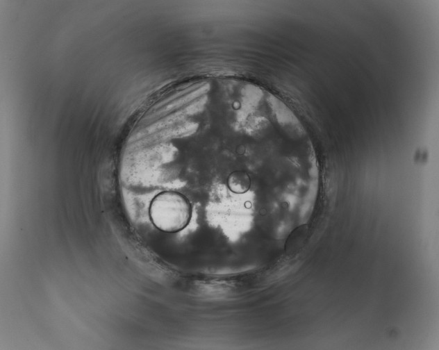 X0000111880359200908201303