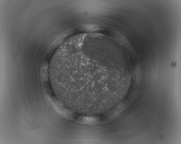 X0000111880360200908201303