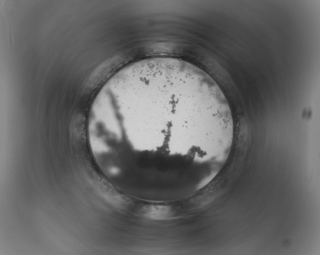 X0000111880361200908201303