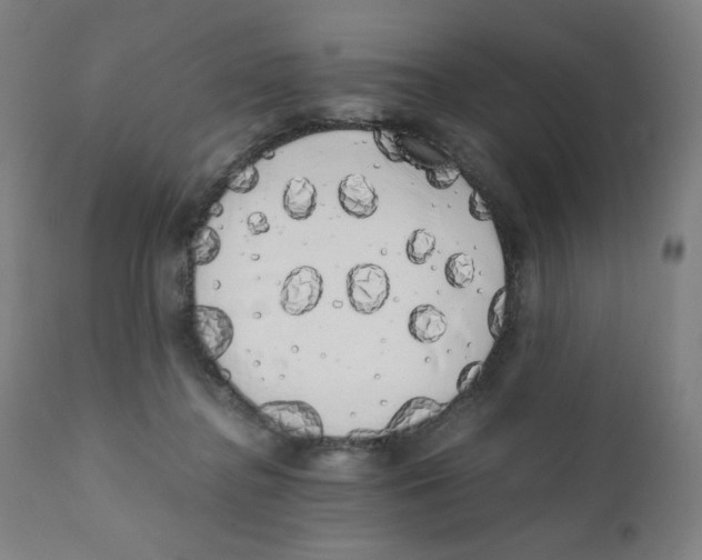 X0000111880364200908201303