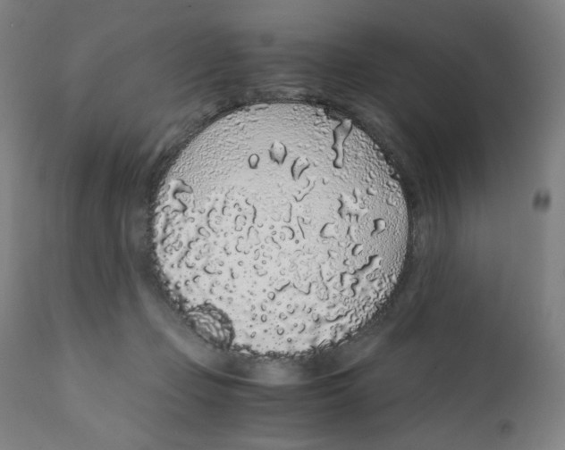 X0000111880365200908201303