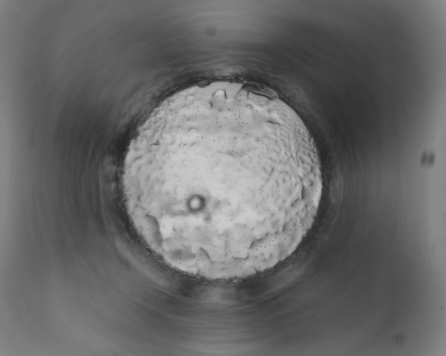 X0000111880366200908201303