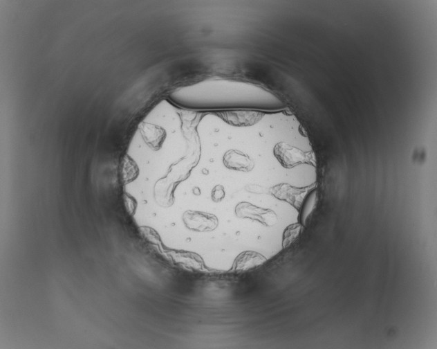 X0000111880368200908201303