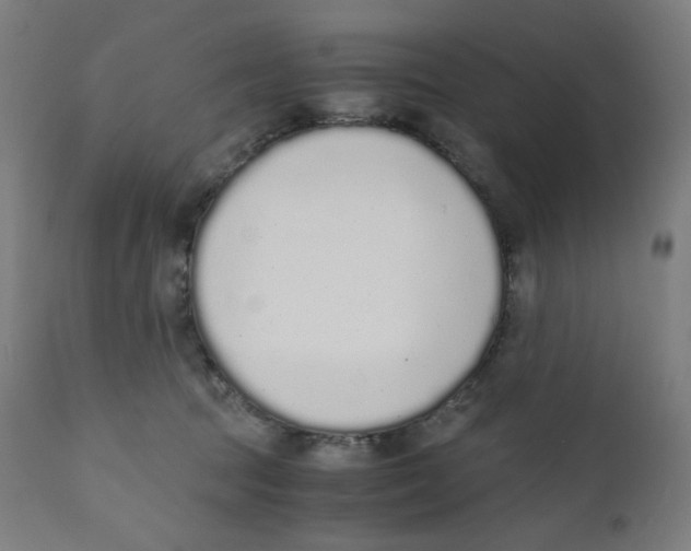 X0000111880369200908201303