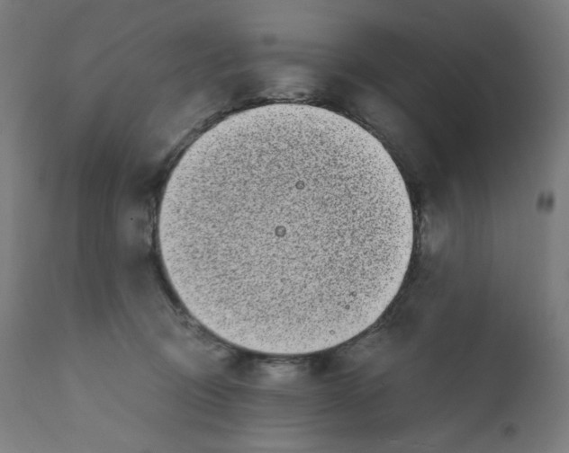 X0000111880370200908201303