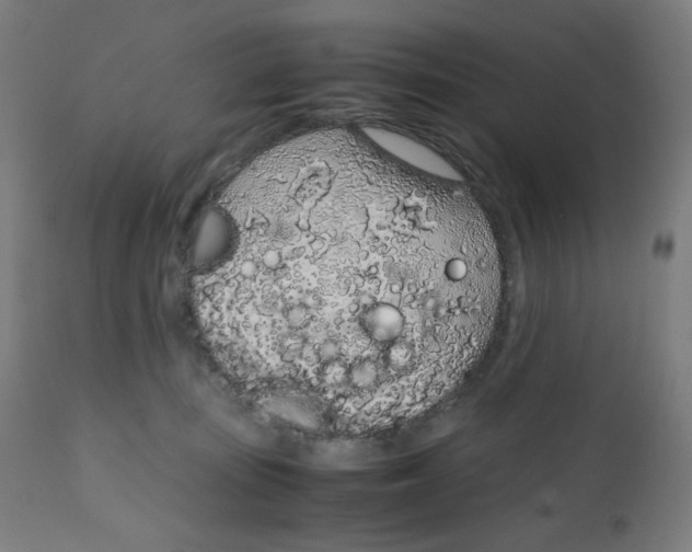 X0000111880371200908201303