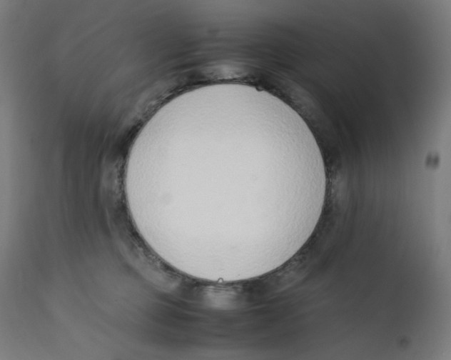 X0000111880373200908201303