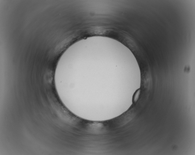 X0000111880374200908201303