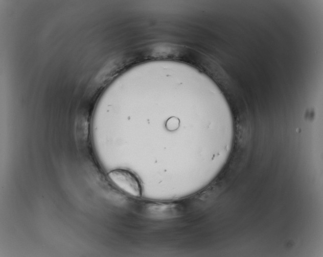 X0000111880375200908201303