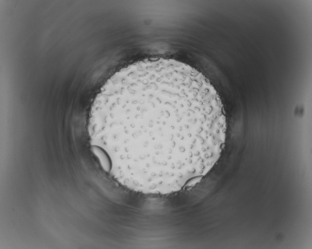 X0000111880376200908201303