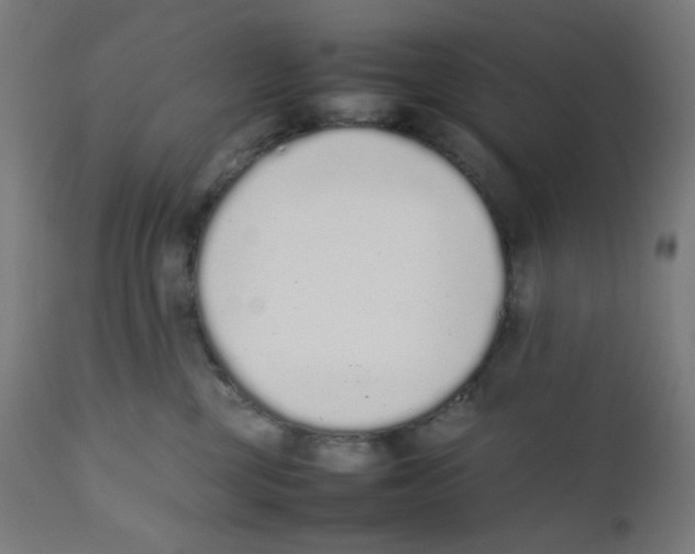 X0000111880377200908201303