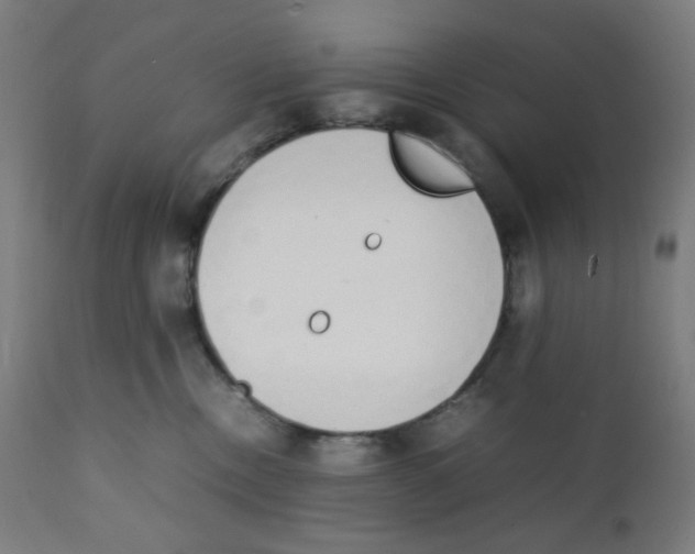 X0000111880378200908201303