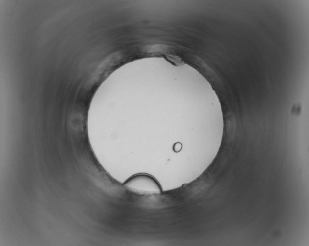 X0000111880379200908201303