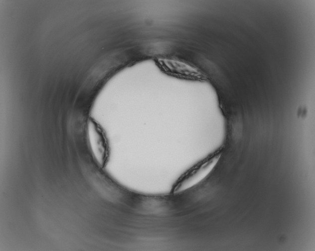 X0000111880380200908201303
