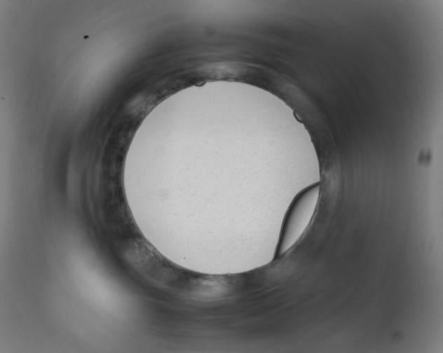 X0000111880381200908201303