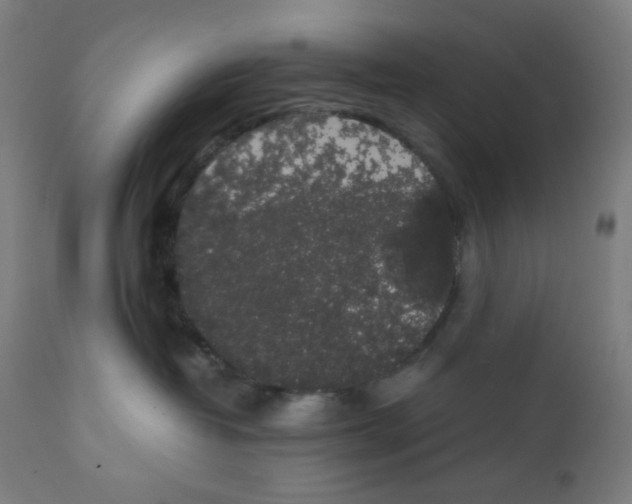 X0000111880382200908201303