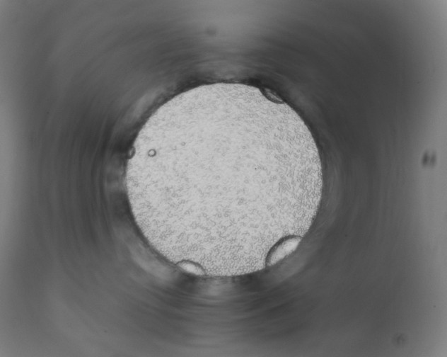 X0000111880384200908201303