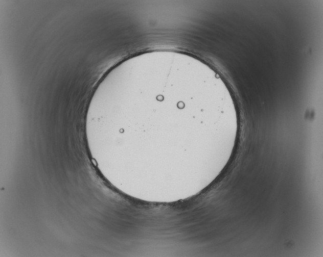 X0000111880385200908201302