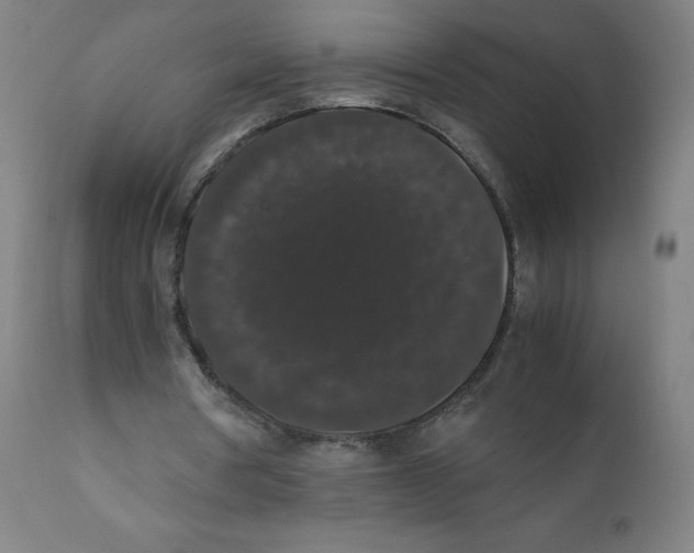 X0000111880386200908201302