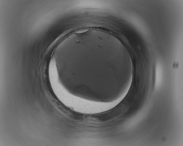 X0000111880387200908201302