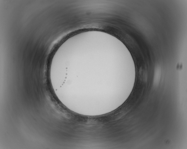 X0000111880388200908201302