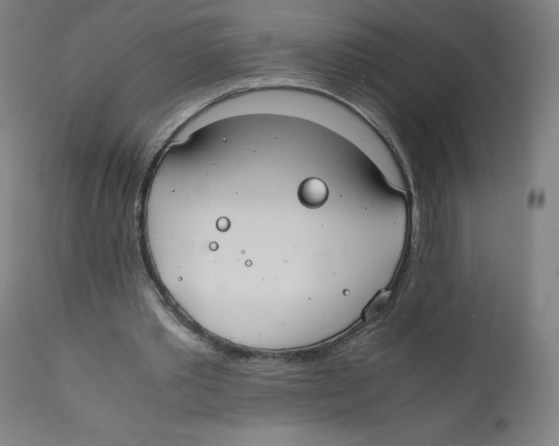 X0000111880389200908201302