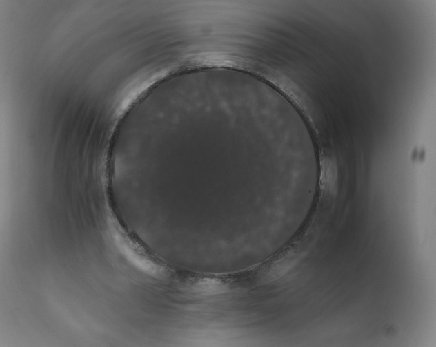 X0000111880390200908201302