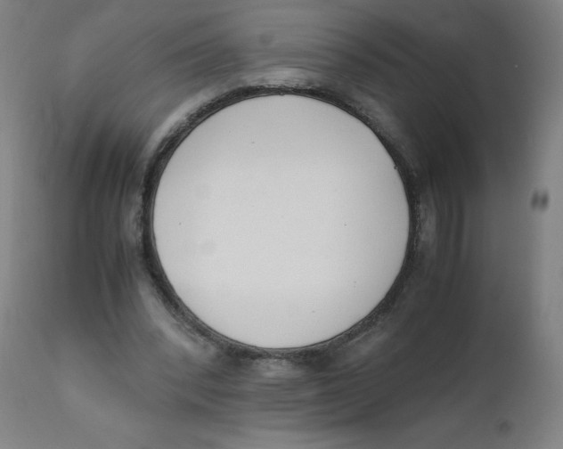 X0000111880392200908201302