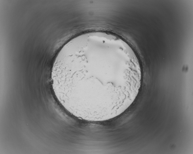 X0000111880393200908201302