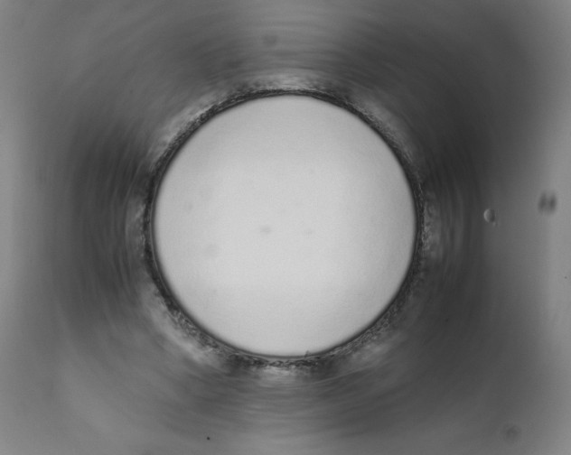 X0000111880394200908201302