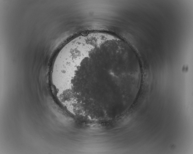 X0000111880395200908201302