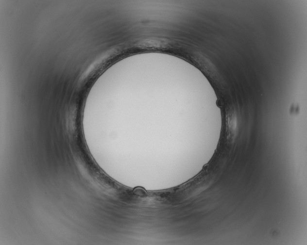 X0000111880396200908201302