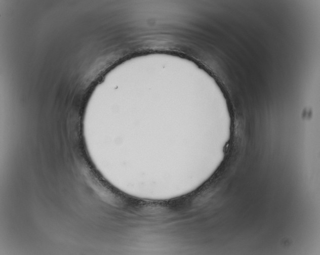 X0000111880397200908201302