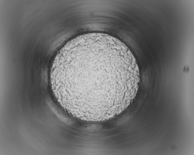 X0000111880398200908201302