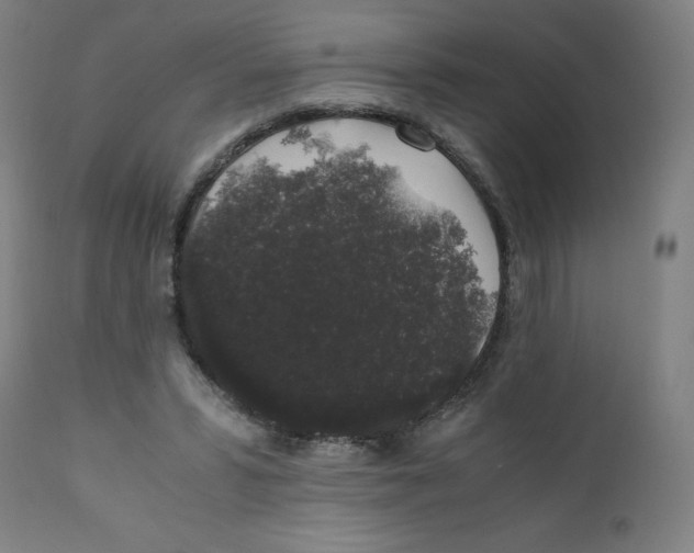 X0000111880399200908201302
