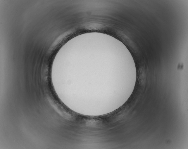 X0000111880400200908201302